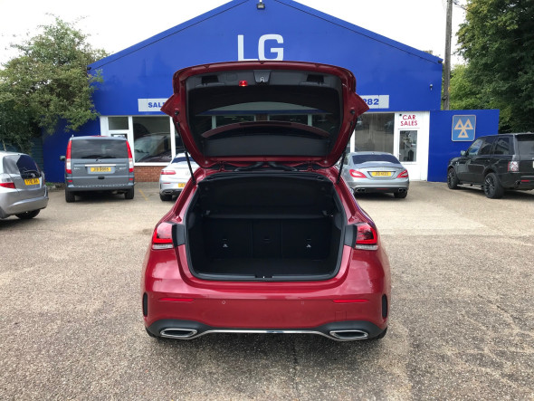 A220d AMG Line Executive